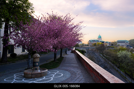 Europe Hungary Budapest. The famous Buda Castle-stock-foto