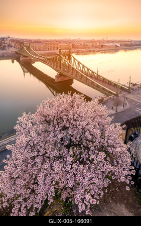Europe Hungary Budapest Liberty bridge spring-stock-foto