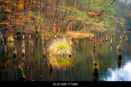 Unique lake in Hungary which name is Hubertlaki lake.-stock-foto