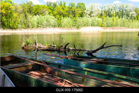 Splendid recreation place in south Hungary-stock-foto