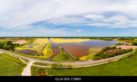 buffalo reserve aera in Hungary-stock-foto