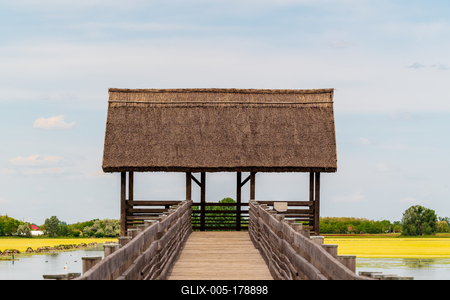 buffalo reserve aera in Hungary-stock-foto