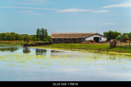 buffalo reserve aera in Hungary-stock-foto