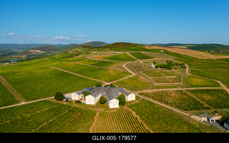 Vineyards in Tokaj region Hungary-stock-foto