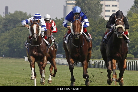 BUDAPEST - JÚLIUS 1.horse racingjulius 1, 2012 in Hungary, Budapest, Kincsem park.-stock-foto