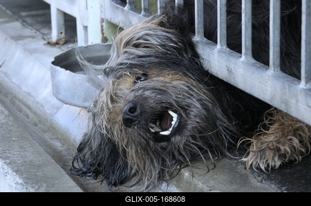 skinnery_1-stock-foto