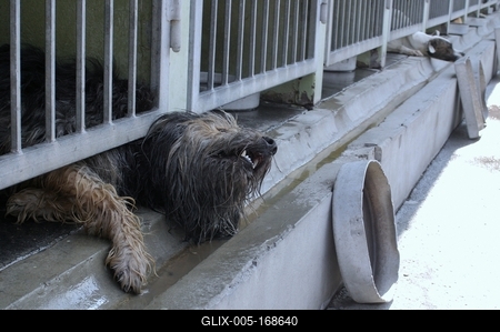 skinnery_2-stock-foto