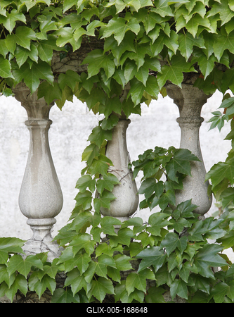 Ornate stone fences overgrown with ivy.-stock-foto