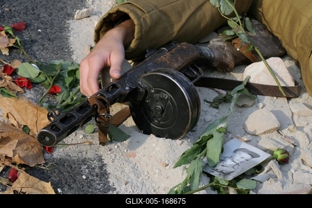 fallen soldier_1-stock-foto