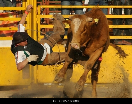rodeo1-stock-foto