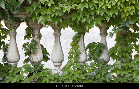 Ornate stone fences overgrown with ivy.-stock-foto
