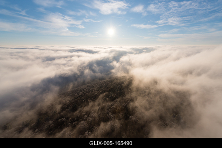 Foggy weather over the forest-stock-foto