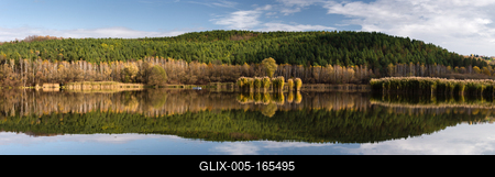 The reflection of an autumn day on the water of the lake-stock-foto