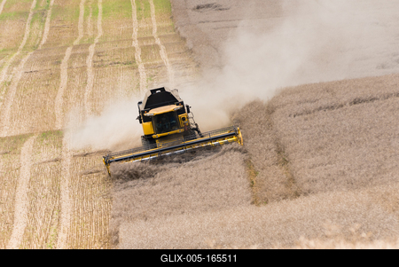 Farmers are harvesting with a New Holland CR9080 combine on a sunny day.-stock-foto