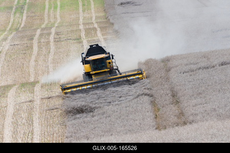 Farmers are harvesting with a New Holland CR9080 combine on a sunny day.-stock-foto