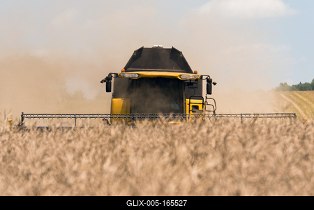 Farmers are harvesting with a New Holland CR9080 combine on a sunny day.-stock-foto
