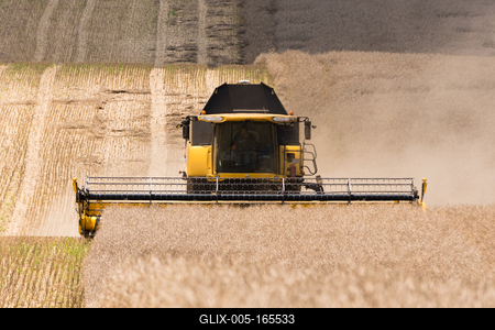 Farmers are harvesting with a New Holland CR9080 combine on a sunny day.-stock-foto