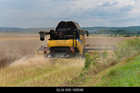 Farmers are harvesting with a New Holland CR9080 combine on a cloudy day.-stock-foto