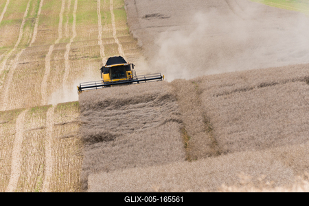 A farmers is harvesting with a New Holland CR9080 combine on a sunny day.-stock-foto