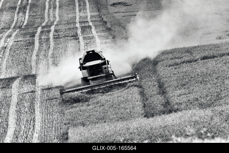 Farmers are harvesting with a New Holland CR9080 combine on a sunny day. Black and white.-stock-foto