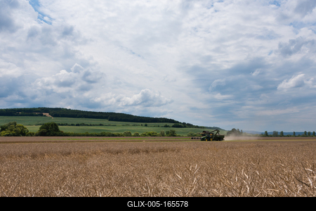 Farmers are harvesting and loading the seeds from a New Holland CR9080 combine to a Fliegl ULW trailer which is towing by a John Deere 8335R tractor.-stock-foto