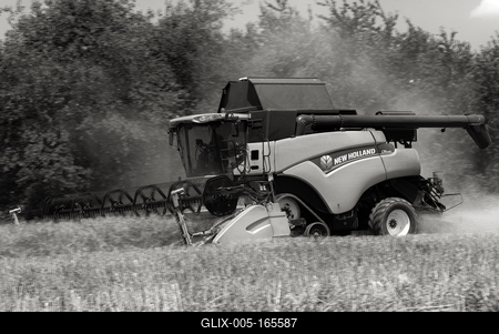 Farmers are harvesting with a New Holland CR9080 combine on a sunny day. Black and white.-stock-foto