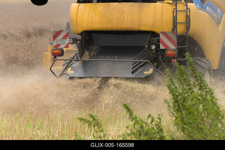 Farmers are harvesting with a New Holland CR9080 combine on a cloudy day.-stock-foto