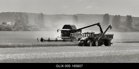 Farmers are harvesting and loading the seeds from a New Holland CR9080 combine to a Fliegl ULW trailer which is towing by a John Deere 8335R tractor.-stock-foto