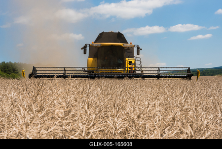 Farmers are harvesting with a New Holland CR9080 combine on a sunny day.-stock-foto