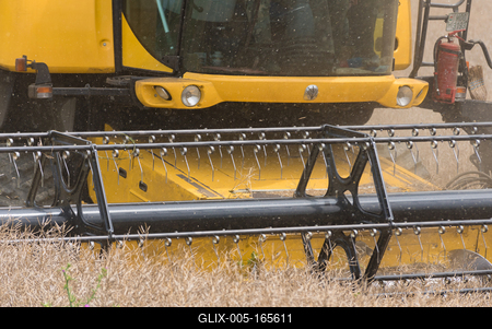 Farmers are harvesting with a New Holland CR9080 combine on a cloudy day.-stock-foto