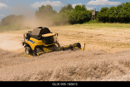Farmers are harvesting with a New Holland CR9080 combine on a sunny day.-stock-foto
