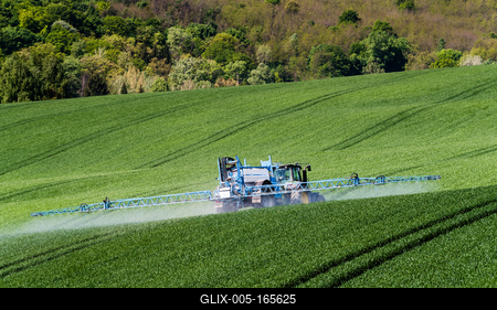 A farmer spraying with a tractor on the wheat field. Spring work.-stock-foto