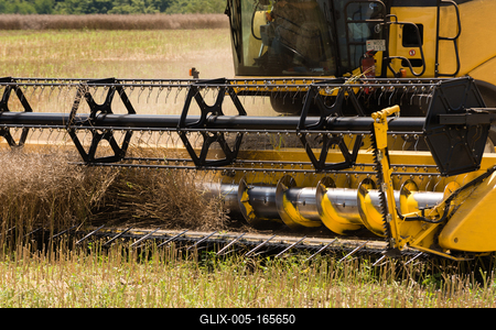 Farmers are harvesting with a New Holland CR9080 combine on a sunny day.-stock-foto