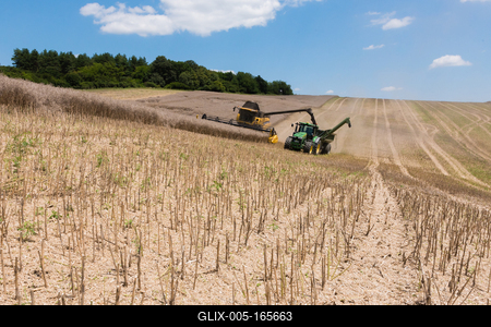 Farmers are harvesting with a New Holland combine on a sunny day. Another farmer coming with John Deere tractor and a Fliegl ULW trailer for the harvested seeds.-stock-foto