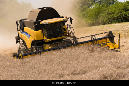 Farmers are harvesting with a New Holland CR9080 combine on a sunny day.-stock-foto