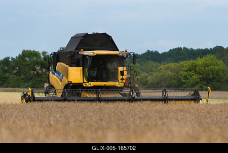 Farmers are harvesting with a New Holland CR9080 combine on a cloudy day.-stock-foto