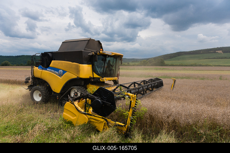 Farmers are harvesting with a New Holland CR9080 combine on a cloudy day.-stock-foto