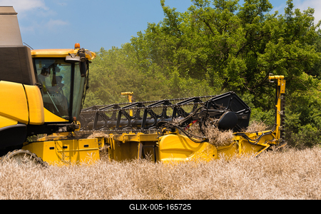 Farmers are harvesting with a New Holland CR9080 combine on a sunny day.-stock-foto