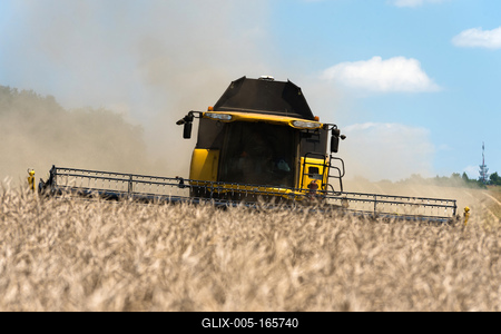 Farmers are harvesting with a New Holland CR9080 combine on a sunny day.-stock-foto
