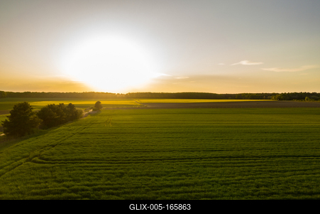 Napnyugta a mezőn-stock-foto