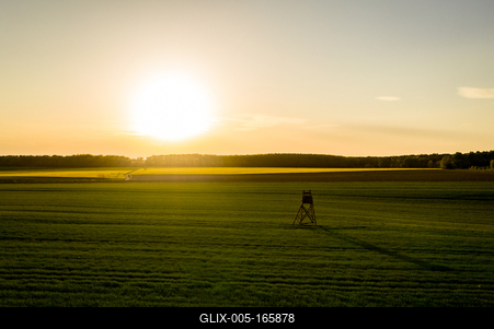 Napnyugta a mezőn-stock-foto