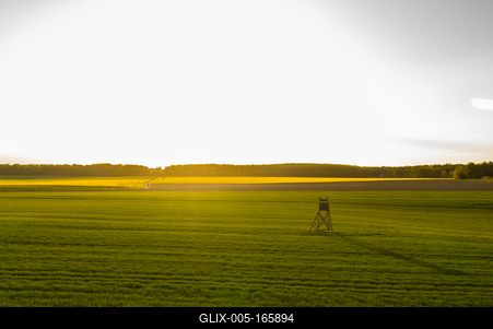 Napnyugta a mezőn-stock-foto