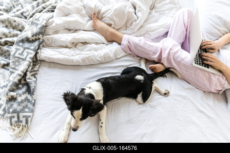 COVID-19 - Koronavírus - Ingyenes kollekció-stock-foto