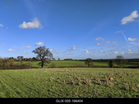 english farm land, field-stock-foto
