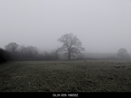 english farm land, field-stock-foto