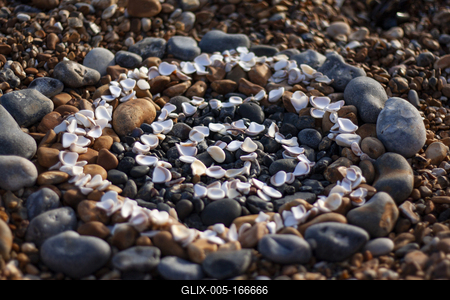 Beach, summer, ocean, waves, sand-stock-foto