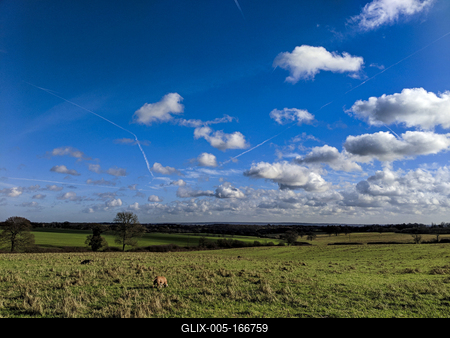 english farm land, field-stock-foto