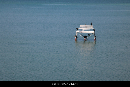 White bench with black birds in the blue lake Balaton.-stock-foto