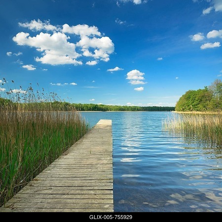 Bathing spot with Boardwalk, Clear Lake with reeds and forest, Big Krinertsee, biosphere reserve Schorfheide-Chorin, Brandenburg, Germany-stock-foto