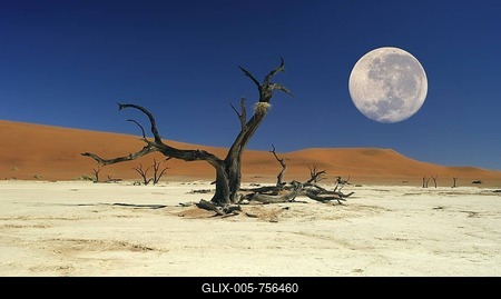 Death vlei with full moon Namibdesert Namibia Afrika-stock-foto